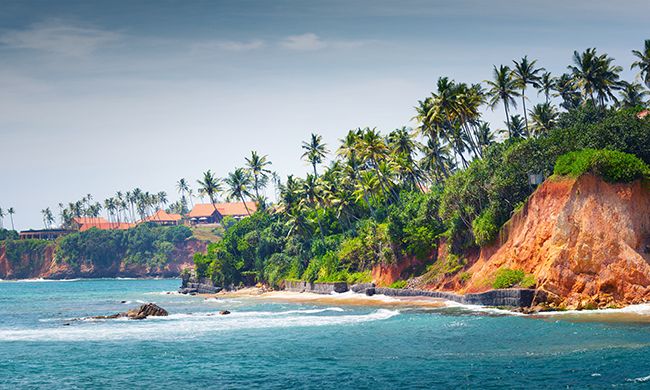 INDISPENSABLE SRI LANKA + WELIGAMA pas cher photo 8