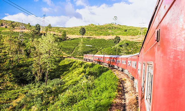 INDISPENSABLE SRI LANKA + WELIGAMA pas cher photo 12