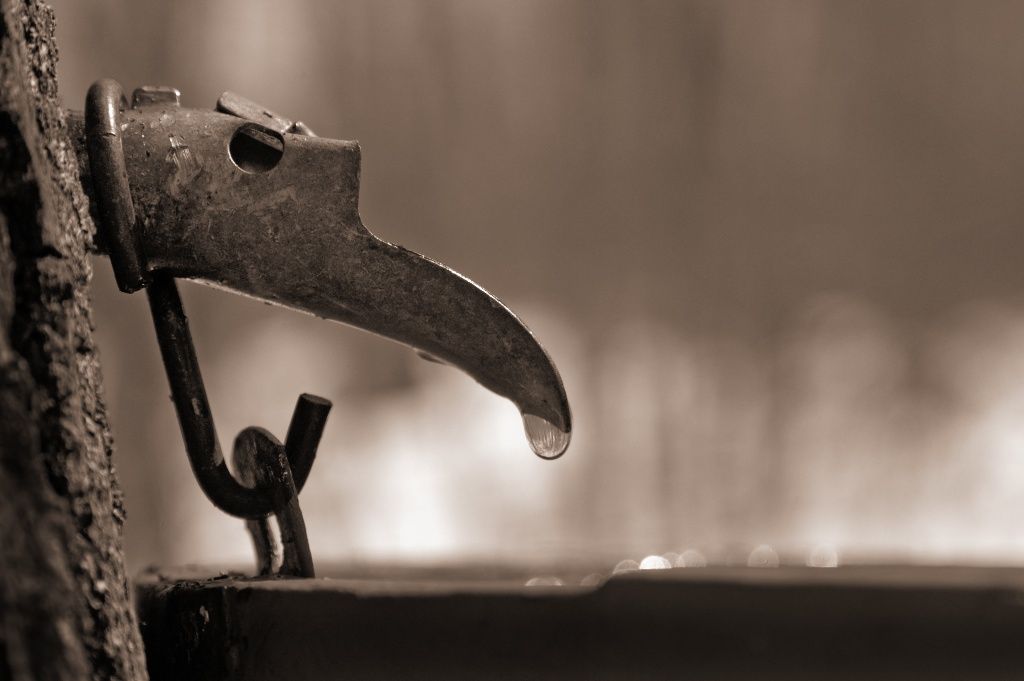 DECOUVERTE DU QUEBEC ET DETENTE EN POURVOIRIE (CAP AU LESTE) - 9J/7N - 2020 pas cher photo 7