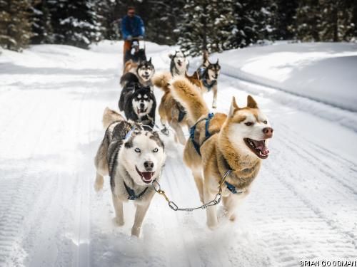 Circuit Aventures dans le Grand Nord canadien 4* pas cher photo 1