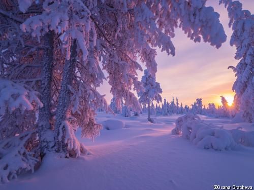 Circuit Aventures dans le Grand Nord canadien 4* pas cher photo 3