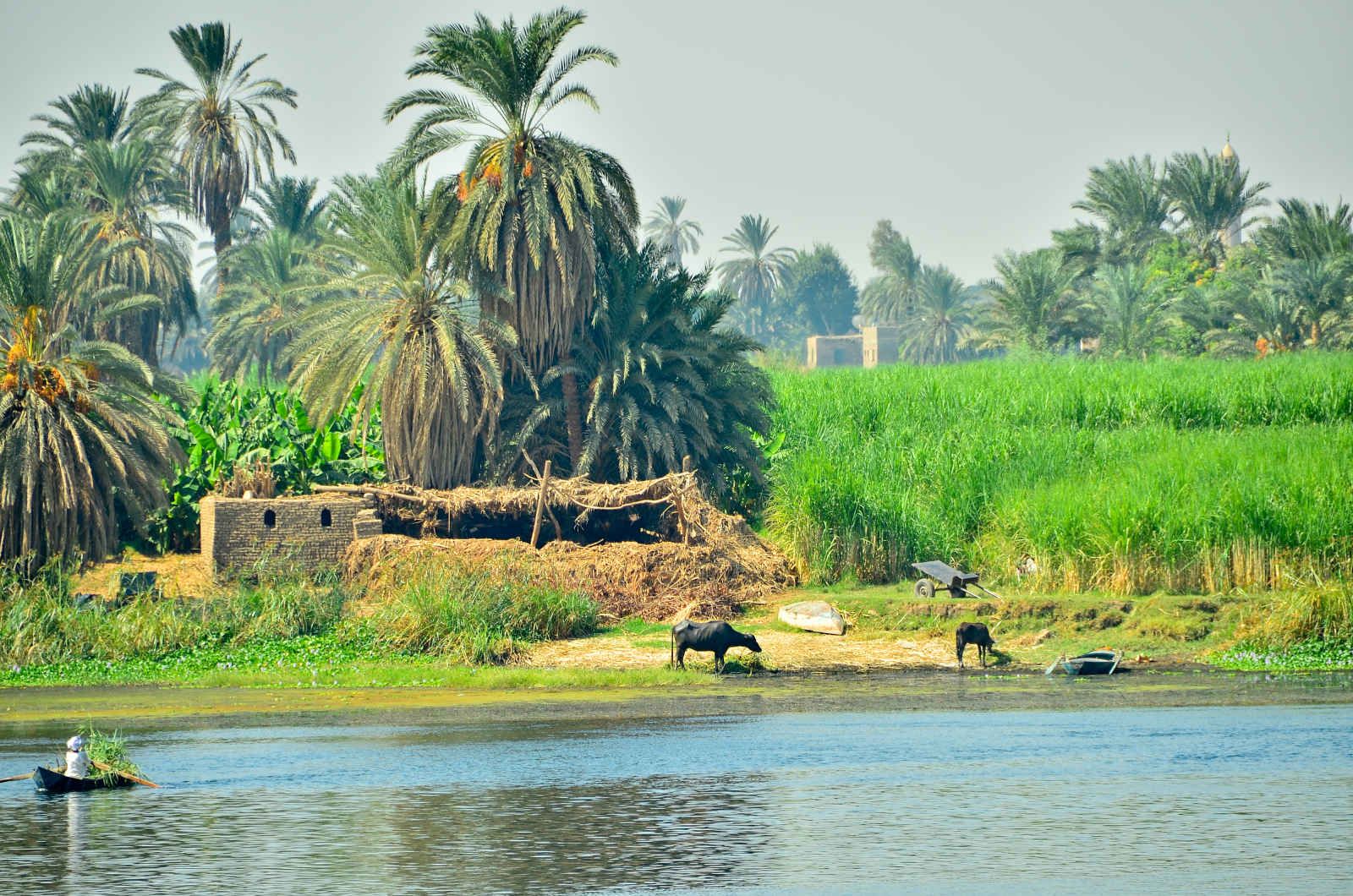 Egypte éternelle pas cher photo 12