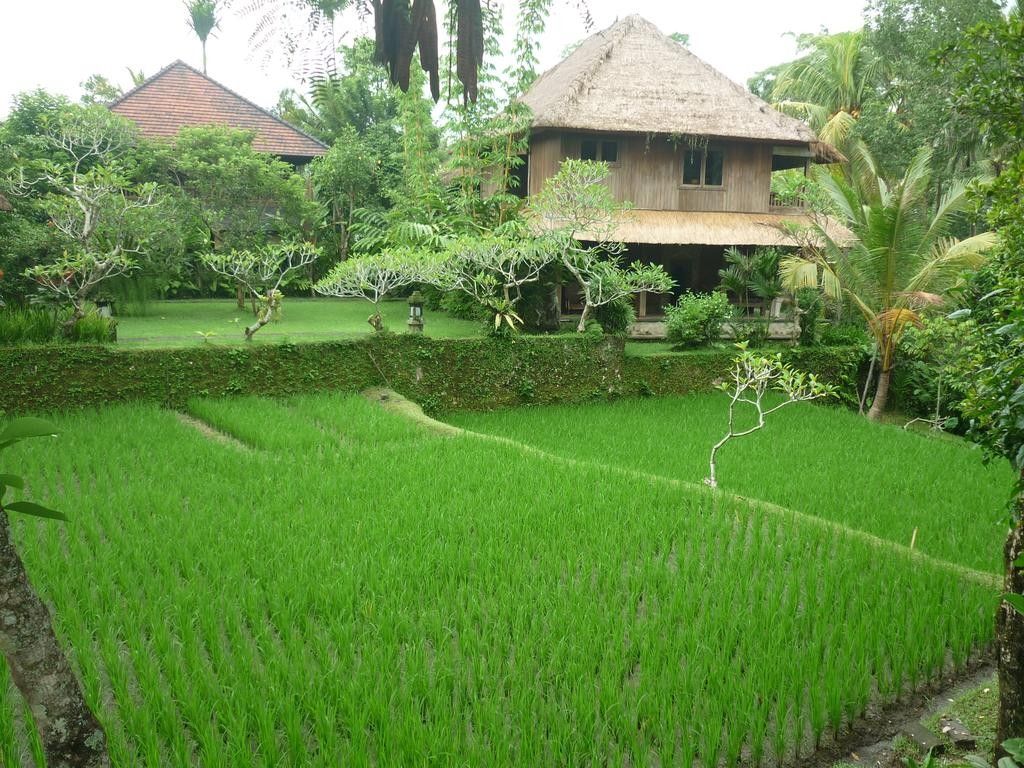 Joyaux Balinais pas cher photo 2