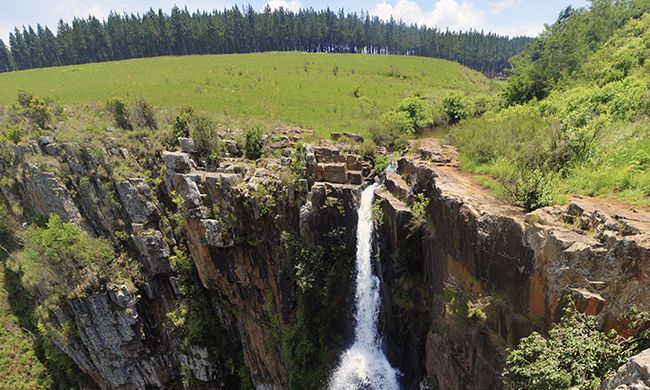 1ER REGARD AFRIQUE DU SUD pas cher photo 6