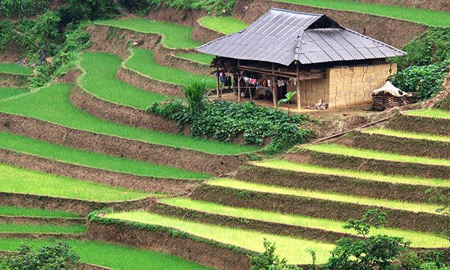 LUMIERE DU VIETNAM & SES MINORITES pas cher photo 4