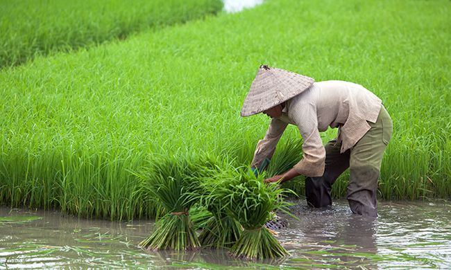 LUMIERE DU VIETNAM & SES MINORITES pas cher photo 5