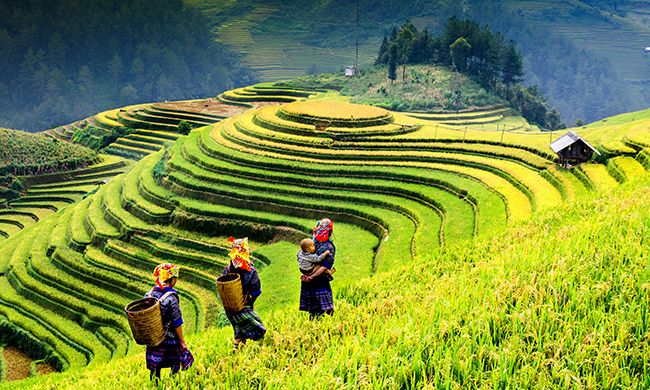 LUMIERE DU VIETNAM & SES MINORITES pas cher photo 10