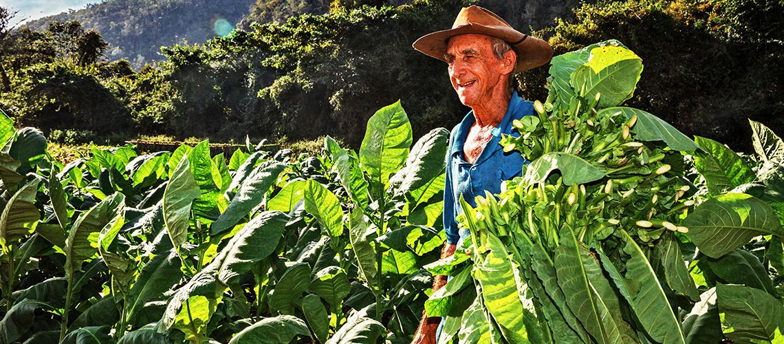 Kappa Circuit À la Rencontre des Cubains & Extension Melia Marina Varadero 5* pas cher photo 4