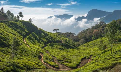 LUMIERES DE L'INDE DU SUD pas cher photo 7