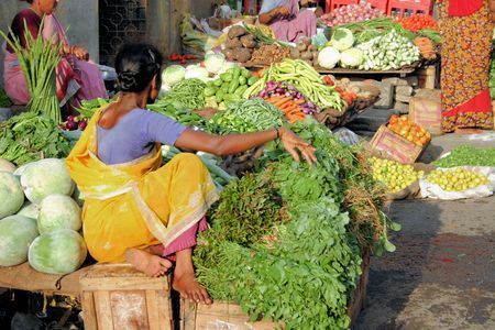 Splendeurs de l'Inde du Sud 14J/ 11N 2019/2020 pas cher photo 3