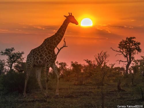 Circuit Trésors sud-africains pas cher photo 3
