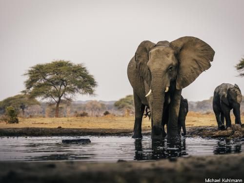 Circuit Trésors sud-africains pas cher photo 4