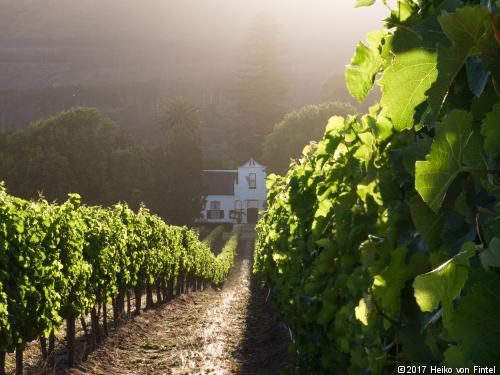 Circuit Trésors sud-africains pas cher photo 5