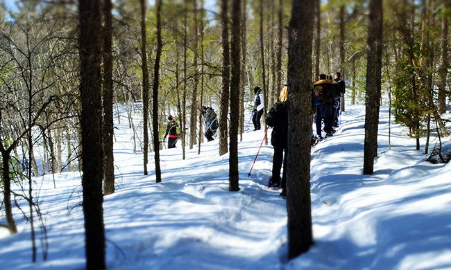INDISPENSABLE CANADA HIVER - Option n°2 pas cher photo 4