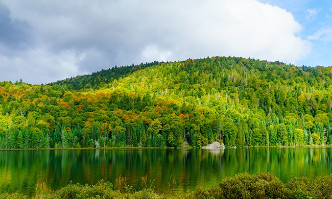 Autotour PANORAMAS SUR LE QUÉBEC avec pré-voyage ONTARIO & NIAGARA pas cher photo 3