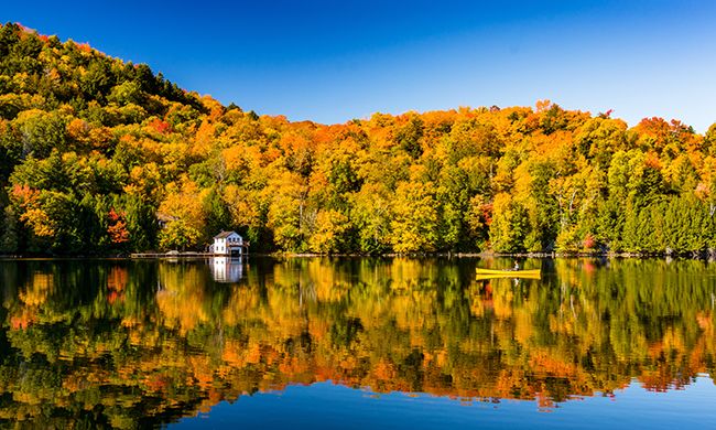 Autotour PANORAMAS SUR LE QUÉBEC avec pré-voyage ONTARIO & NIAGARA pas cher photo 12