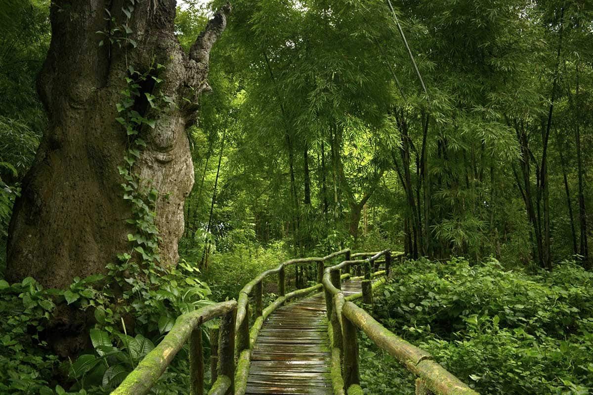 Circuit Fun-Thaï-Stique pas cher photo 6