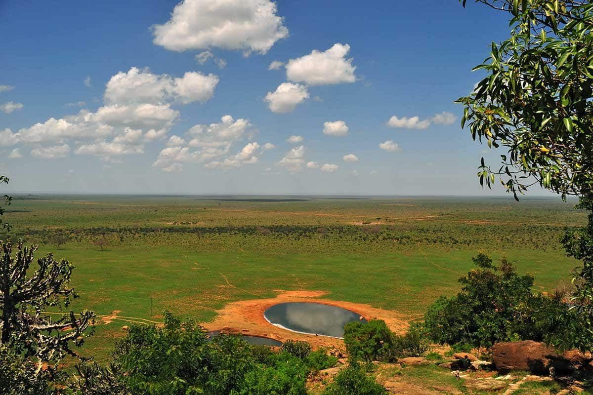 Circuit Safari Big Five pas cher photo 6