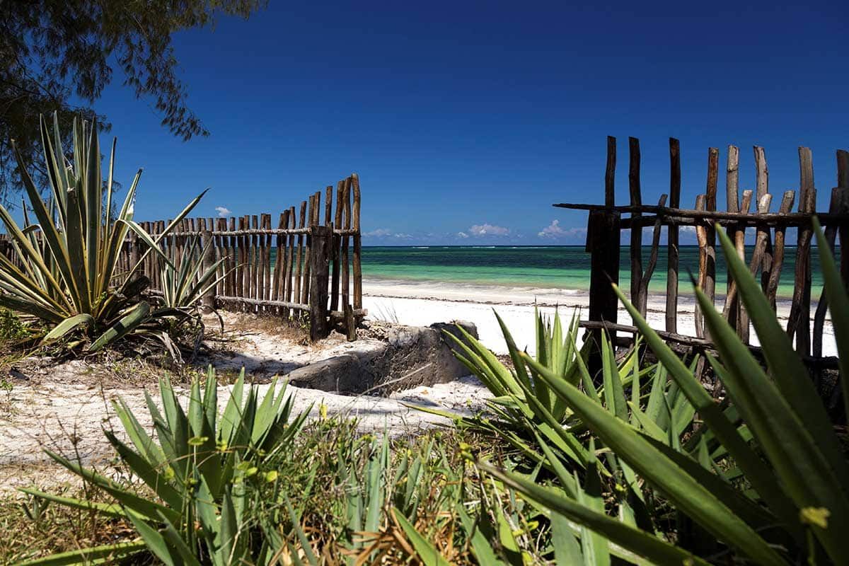 Circuit Safari Big Five pas cher photo 9