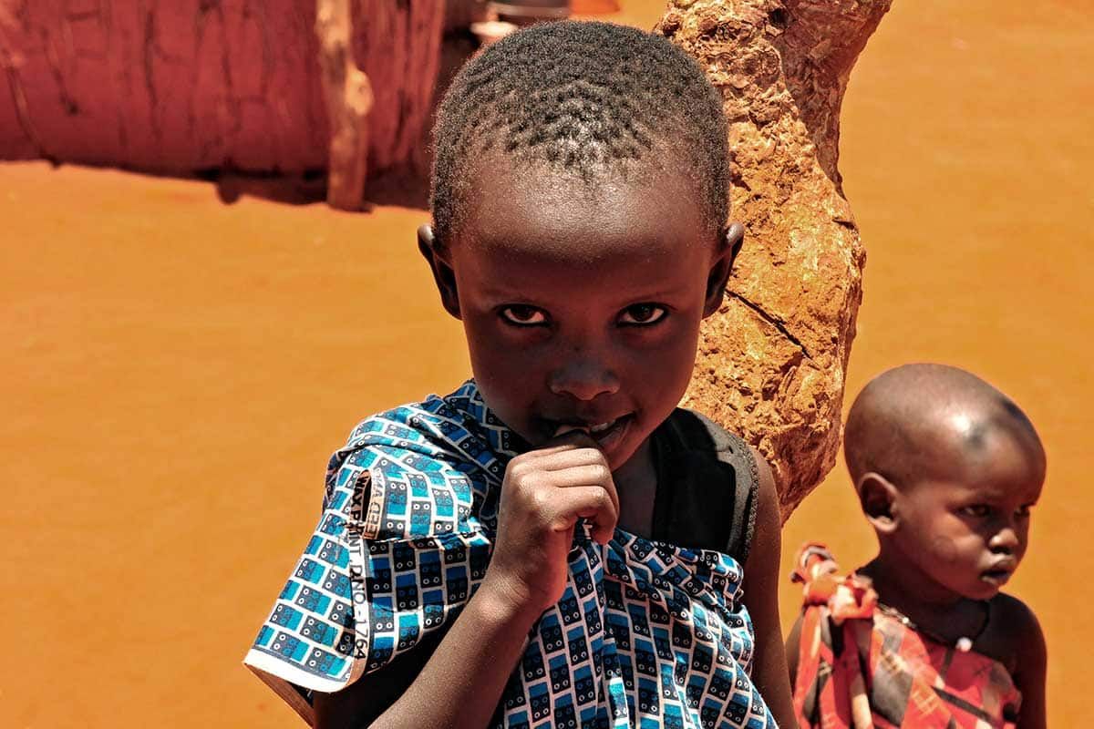 Circuit Safari Jambo pas cher photo 5