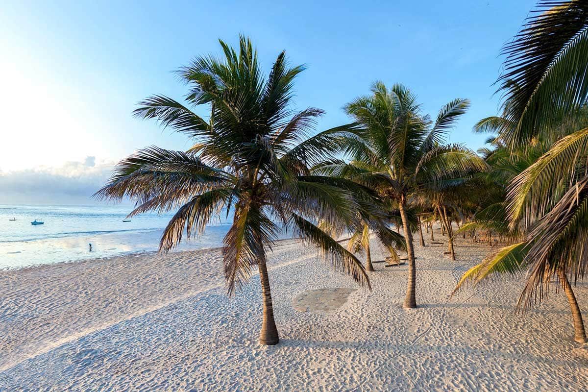 Circuit Safari Jambo pas cher photo 8