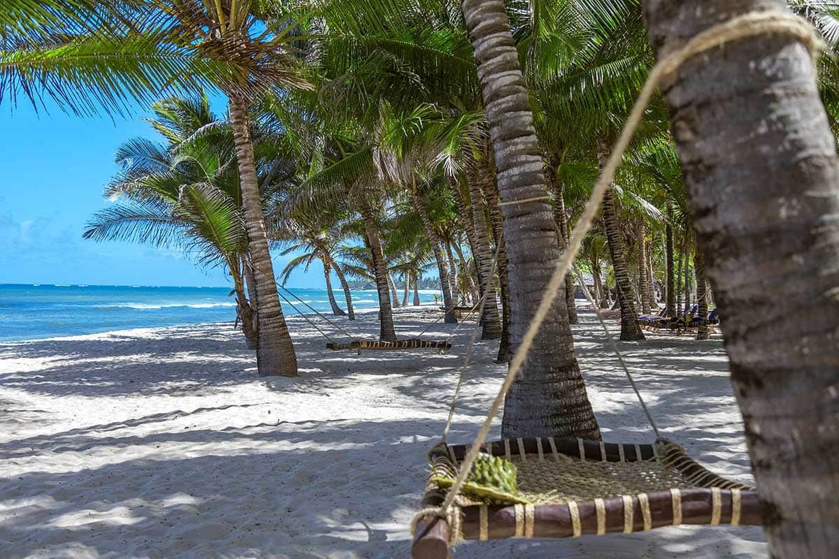 Circuit Safari Jambo pas cher photo 9