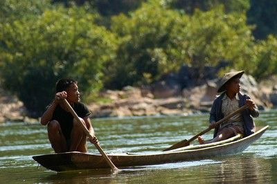 Lotus du Laos pas cher photo 12