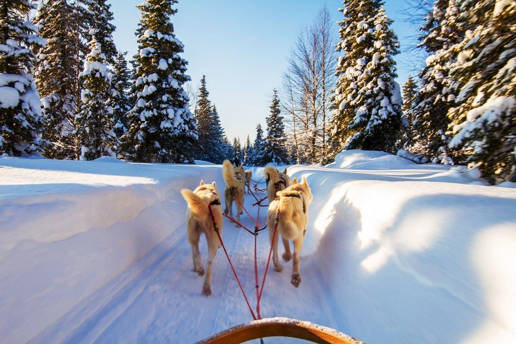 CAP SUR LA NORVEGE EN HIVER - 7J/6N pas cher photo 1