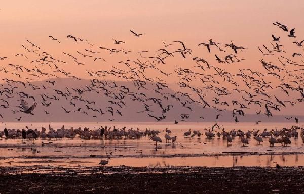 Safari Féeries d'Afrique - inclus Amboseli, Lac Nakuru et Masaï Mara pas cher photo 2