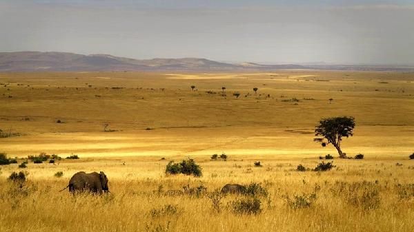 Safari Féeries d'Afrique - inclus Amboseli, Lac Nakuru et Masaï Mara pas cher photo 12