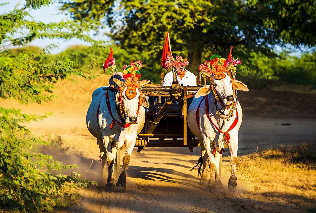 Circuit Découverte de la Birmanie 3/4* pas cher photo 8