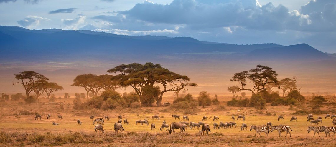 Safaris Tsavo West , Amboseli et Tsavo East et Séjour au Jumbo Watamu Resort 4* nl pas cher photo 12