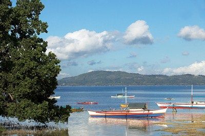 De Manille aux îles de Bohol et Cebu pas cher photo 5