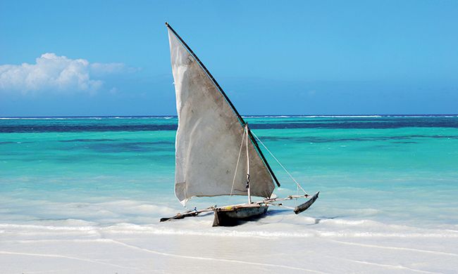 INDISPENSABLE KENYA pas cher photo 2