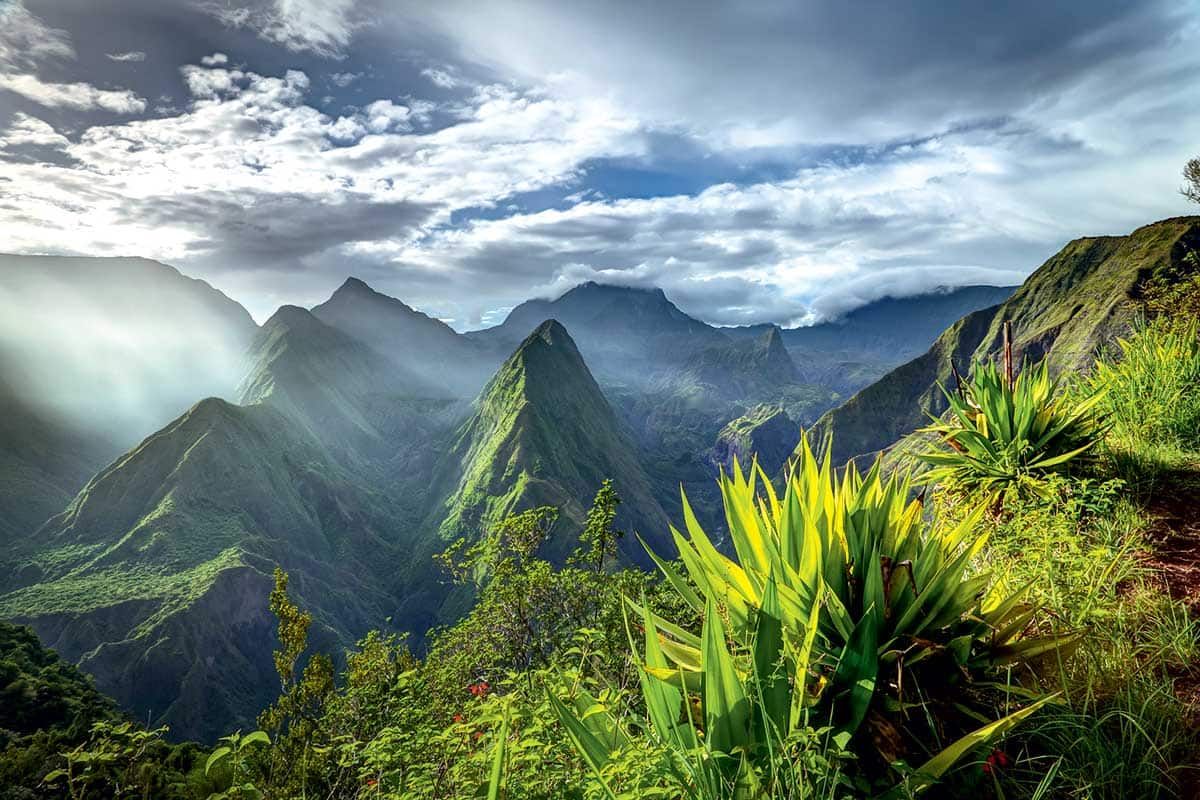 Circuit Bouquet créole pas cher photo 12