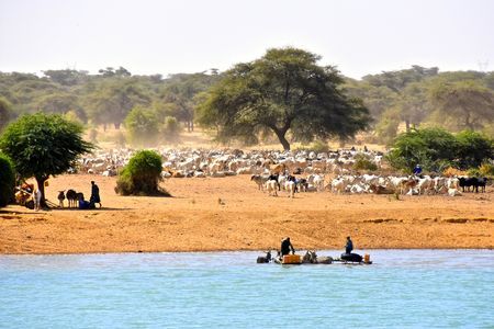 Splendeurs à bord du Bou El Mogdad - Sénégal 9J/8N - 2020 pas cher photo 10