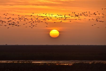 Splendeurs à bord du Bou El Mogdad - Sénégal 9J/8N - 2020 pas cher photo 11