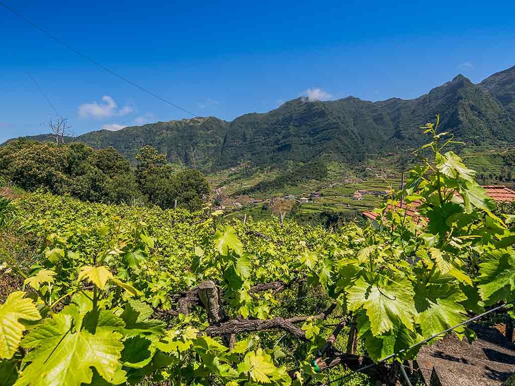 Réveillon à Madère - Hôtel Vidamar Resort 5* - Formule découverte avec visites et repas inclus pas cher photo 1