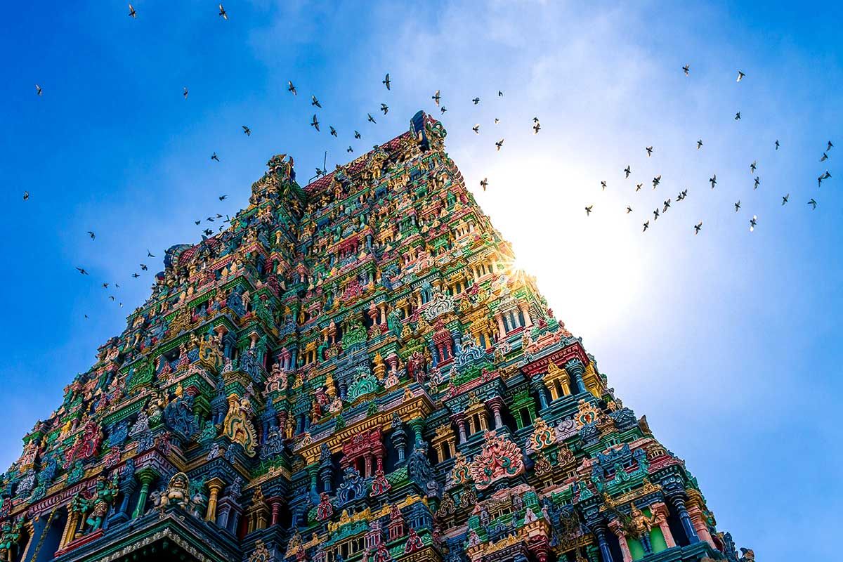 Circuit Magie de l'Inde du Sud + Extension À la découverte de Mysore et de Bangalore pas cher photo 5