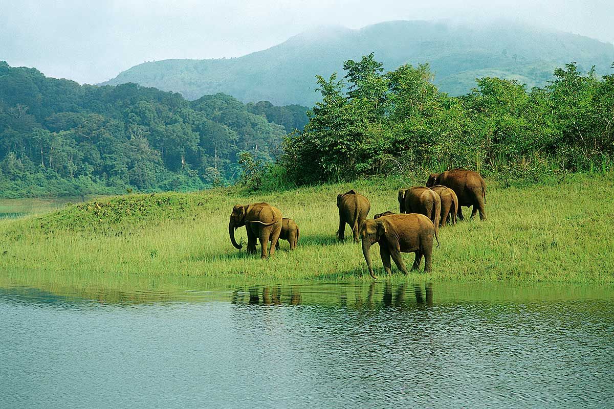 Circuit Magie de l'Inde du Sud + Extension À la découverte de Mysore et de Bangalore pas cher photo 7