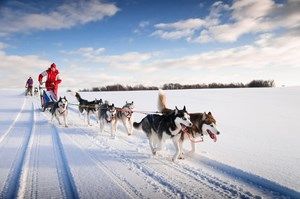 Splendeurs de l'Hiver Canadien 9J/7N - 2020 pas cher photo 7