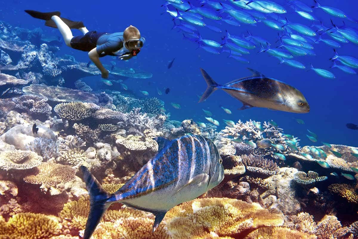 Circuit Otentik Moris pas cher photo 9