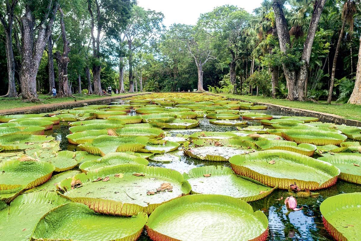 Circuit Otentik Moris pas cher photo 11