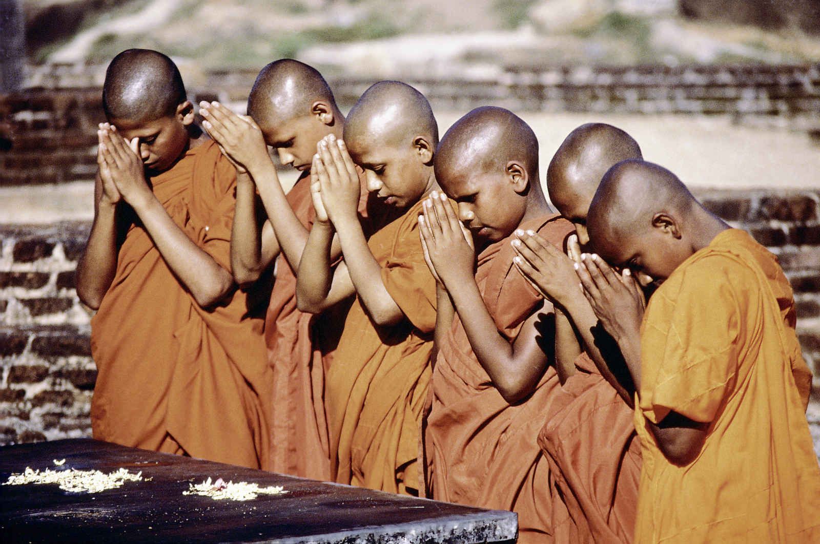 Grandeur du Serendib pas cher photo 6