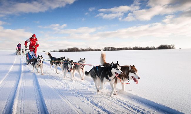LUMIERES DE LAPONIE - IVALO pas cher photo 1
