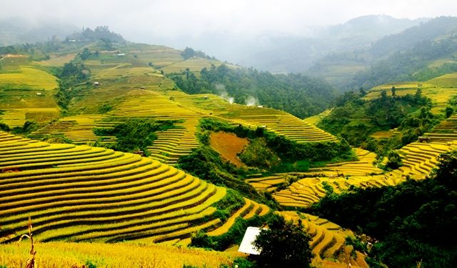 Merveilles du Vietnam 15J/12N - 2019/2020 pas cher photo 8