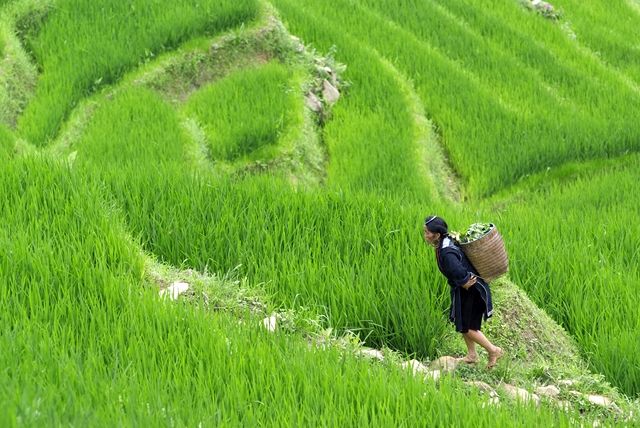 Merveilles du Vietnam 15J/12N - 2019/2020 pas cher photo 12