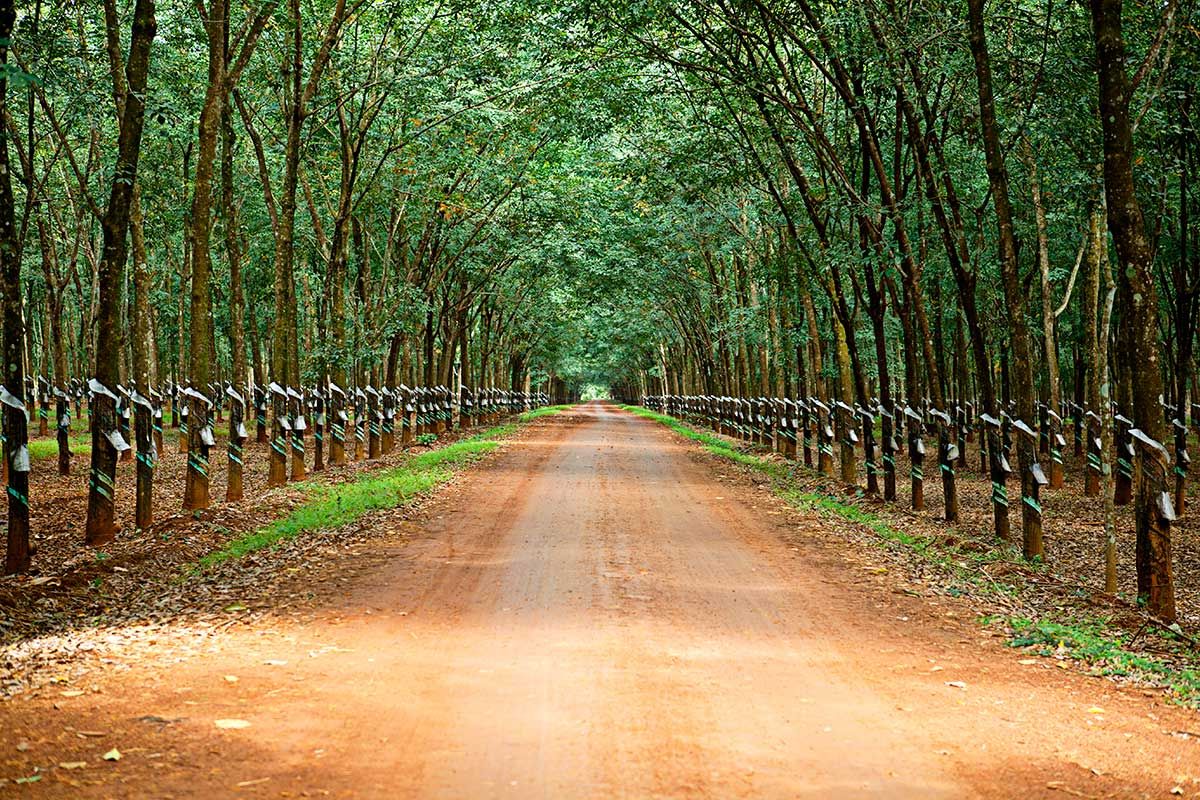 Circuit La Transvietnamienne pas cher photo 8