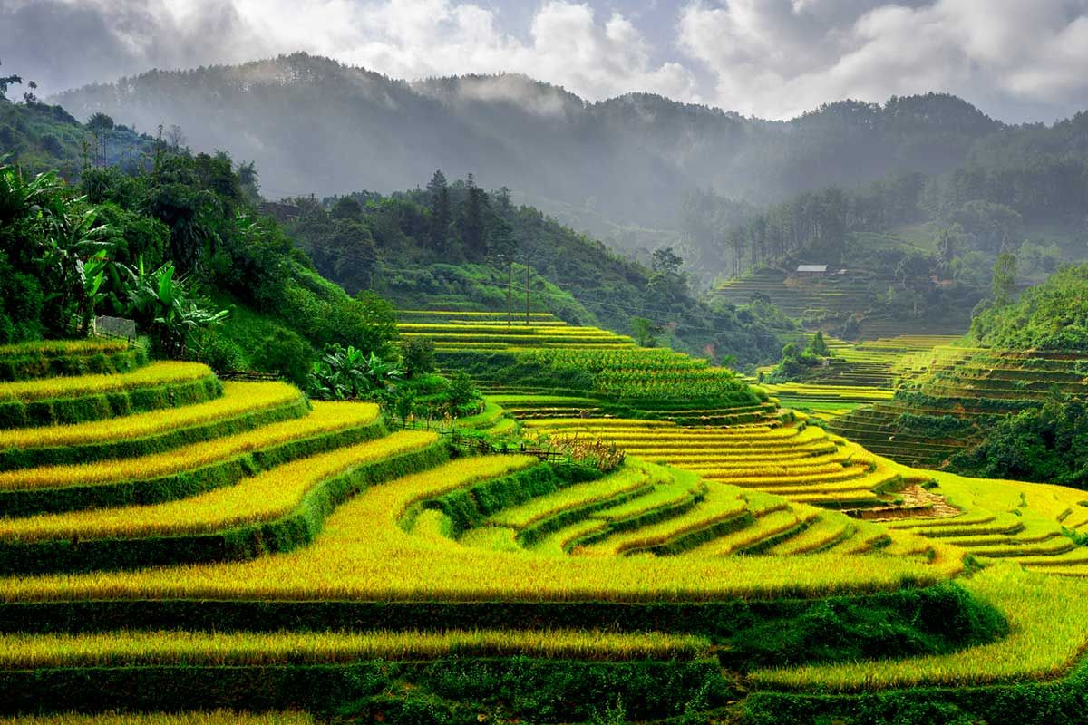 Circuit La Transvietnamienne pas cher photo 11