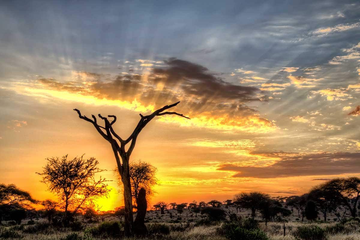 Circuit Safari Kilimandjaro pas cher photo 6